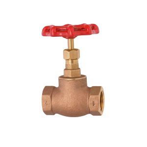 Válvula Globo Class 125