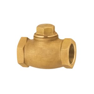 Swing Check Valve Class 125